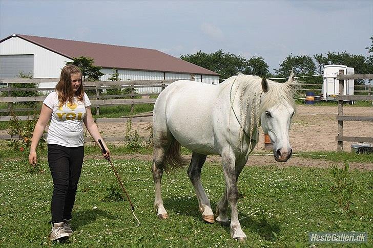 Pinto Rollo | Savnet & elsket foraltid | - 13. Der er begyndt at komme et bånd mellem os - Et usynligt bånd :') <3 Foto: Signe.  billede 13