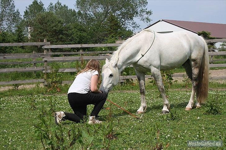 Pinto Rollo | Savnet & elsket foraltid | - 2. It doesn't matter where or when or what we say or what we do, as long as it's just me and you.<3 Our it was..  Foto: Signe. billede 2