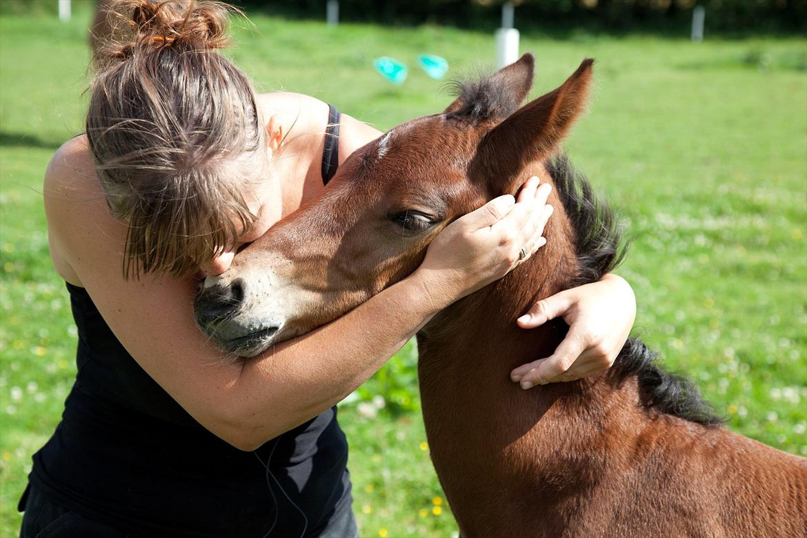 Anden særlig race Sassello Miracolo - Dejlige tillidsfulde Sassello - 17 dage gammel billede 9