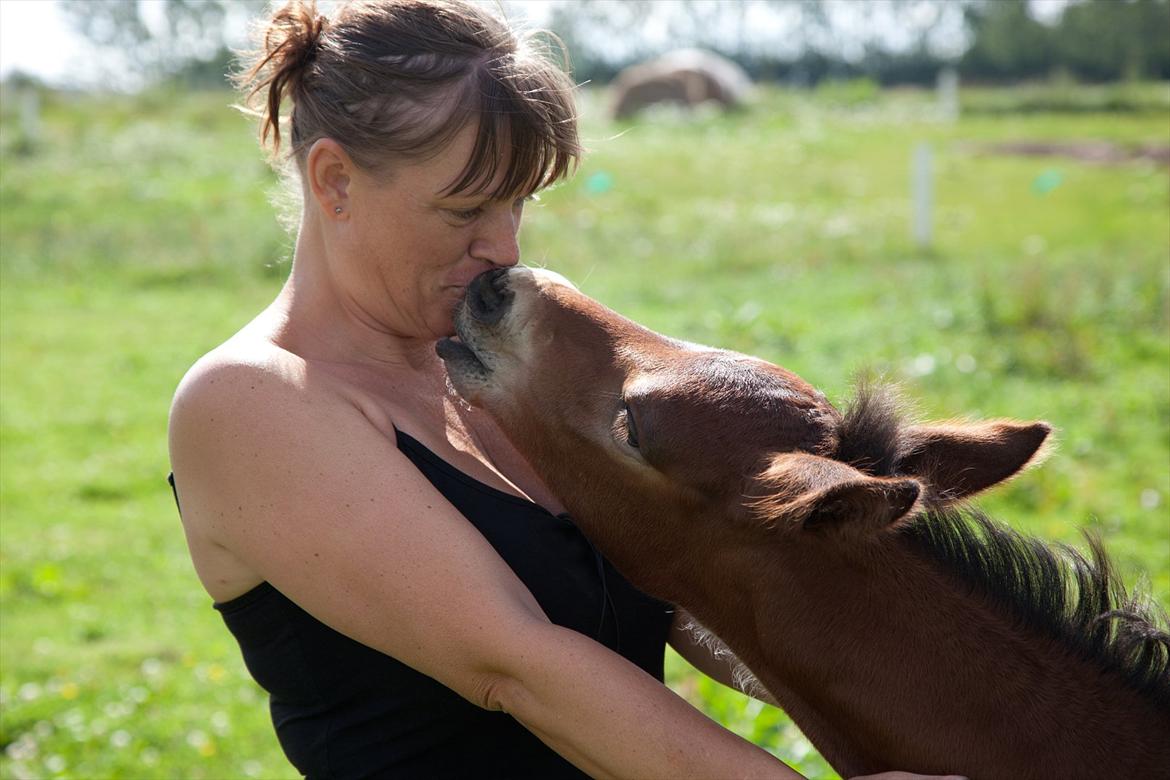 Anden særlig race Sassello Miracolo - MYS :-) billede 10