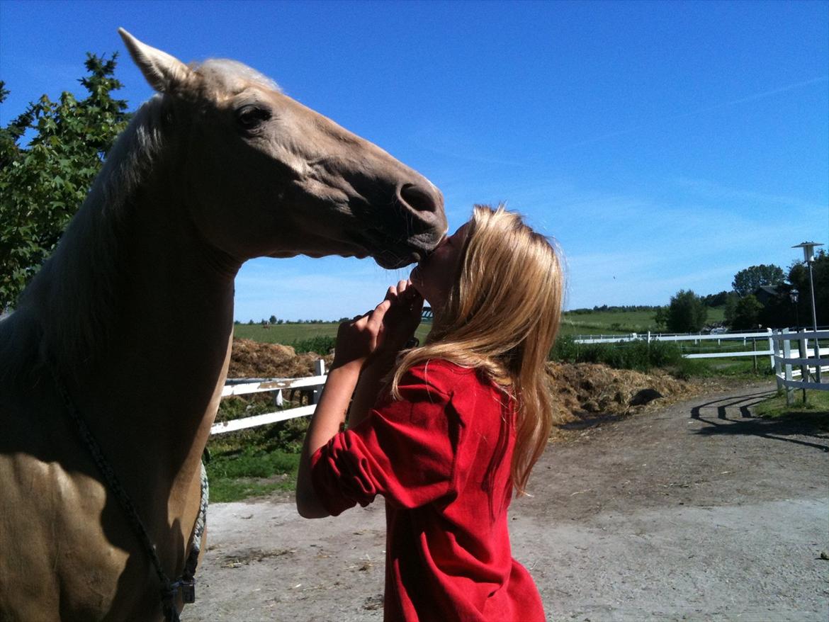 Palomino Cibelle  - big big big love♥♥
kyskys*-:
forårs jagt 2011 billede 6