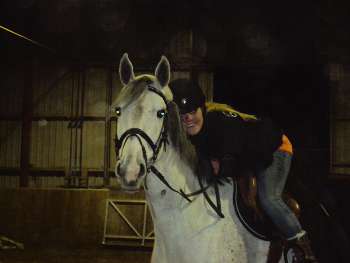 Dansk Varmblod LORETTA - Loretta & Jeg, 2010. Du er noget af det bedste jeg ved <3 billede 3