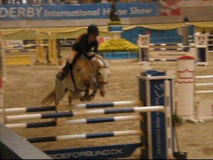 Dansk Varmblod LORETTA - Loretta & jeg, 2010. Baltic cup 1. afd, 125 cm  <3 billede 4