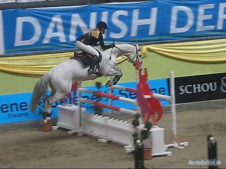 Dansk Varmblod LORETTA - Loretta & jeg, 2010. Baltic Cup 1. afd, 120 cm <3 billede 5