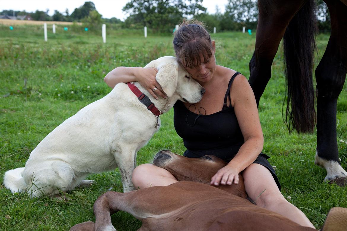Anden særlig race Sassello Miracolo - Dejlig stund :-) billede 15