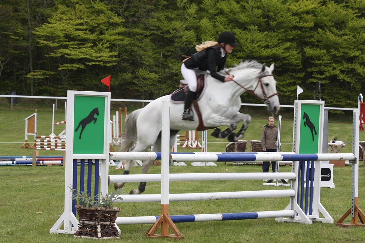 Dansk Varmblod LORETTA - Loretta & jeg, 2010. Morsø Rideklub C-stævne, 4/5 placeringer. billede 7