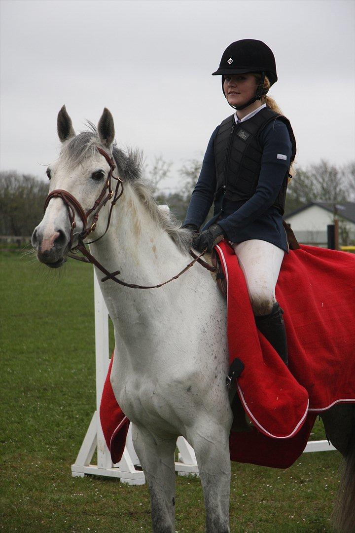 Dansk Varmblod LORETTA - Loretta & jeg, 2010. Præmieoverrækkelse i Løgstrup til C-stævne, 6.plads i LB**.  billede 8