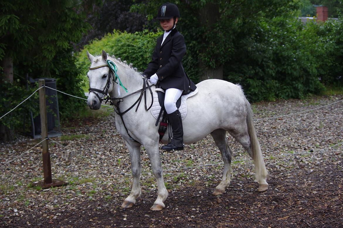 Anden særlig race Anton - Til mit og Anton´s, 2. stævne d. 18. juni 2011 billede 1