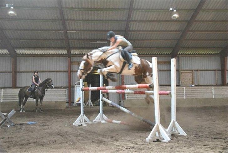 Anden særlig race Golden Atlas - Min lille baby over 125 cm <33 :D Foto: Sabbe :) billede 2