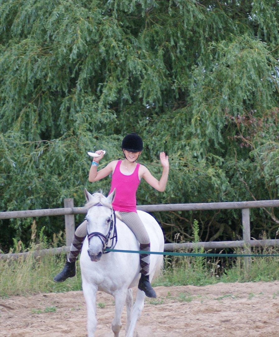 Anden særlig race Viola Snefnug Olsen billede 4