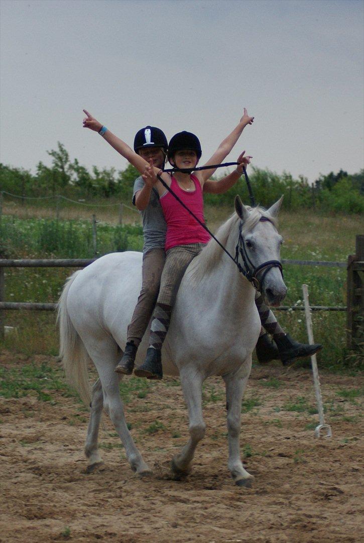 Anden særlig race Viola Snefnug Olsen billede 5