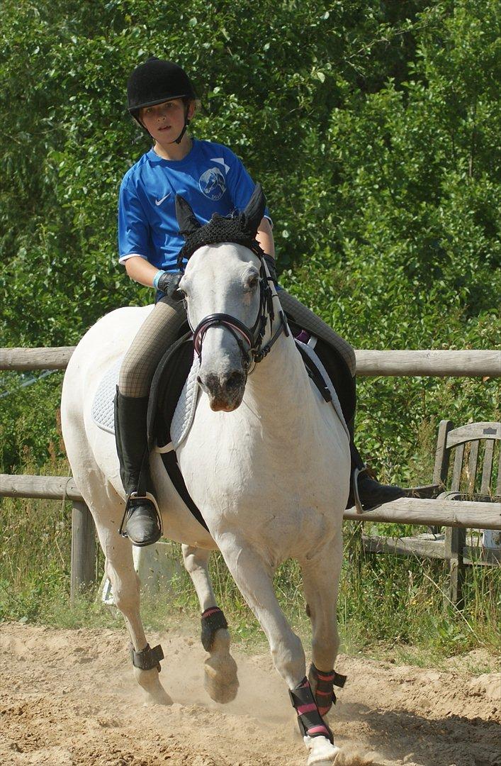 Anden særlig race Viola Snefnug Olsen billede 3