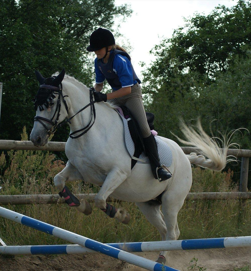 Anden særlig race Viola Snefnug Olsen billede 2