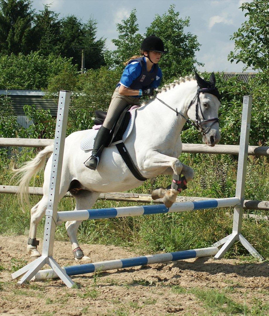 Anden særlig race Viola Snefnug Olsen billede 1