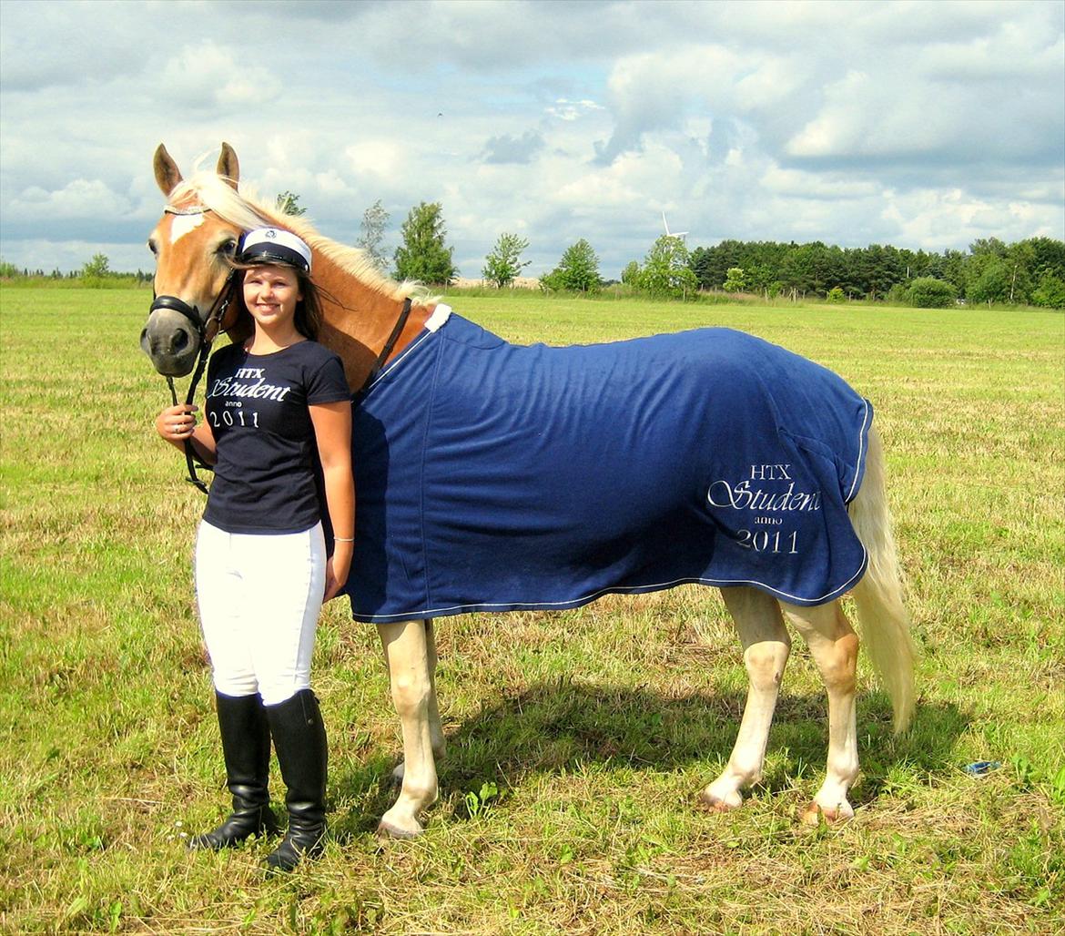 Haflinger Luca - Så blev jeg student !! Og luca fik da et dækken specialt lavet i dagens anledning !! :D 20 juni 2011 . Billede taget af Patrick billede 19