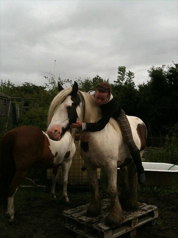 Tinker Disney - min bedste ven [Solgt] - Nyt - Mig og Dis :) DYGIIIIIIIG DRENG :D billede 10