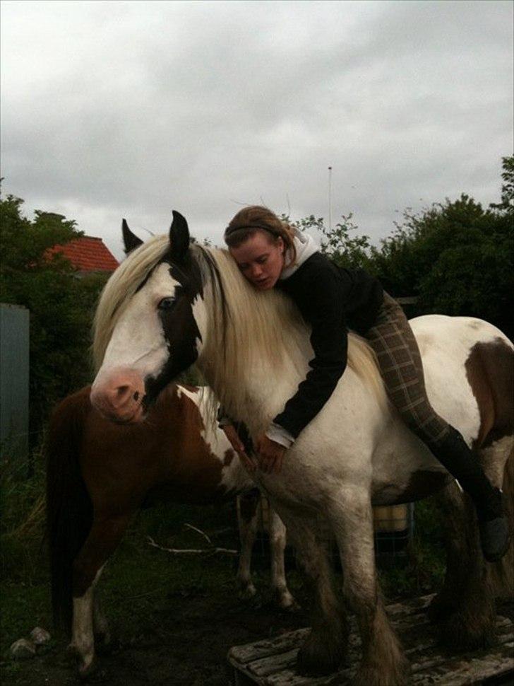 Tinker Disney - min bedste ven [Solgt] - Nyt
ELSKER DIG OVER ALT PÅ DENNE JORD DISNEY :* billede 11