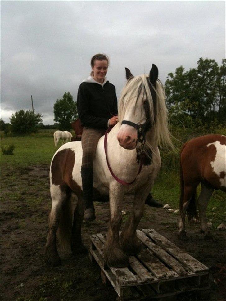 Tinker Disney - min bedste ven [Solgt] - Nyt - Ihh Moaaar er SÅÅ stol af dig :D  billede 12