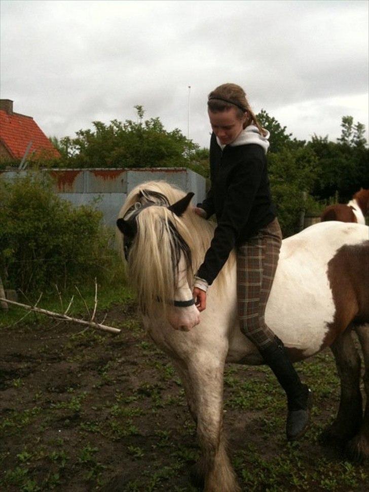 Tinker Disney - min bedste ven [Solgt] - Nyt - Nusse Nusse Nusse :D  billede 13