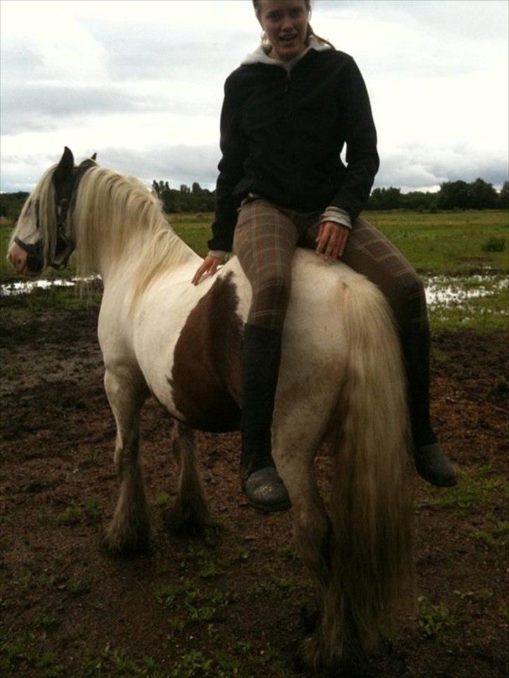 Tinker Disney - min bedste ven [Solgt] - Nyt - jeg rygger lidt længer tilbage , min pony kigger kun :) og er stadig ligeglad :D  billede 15