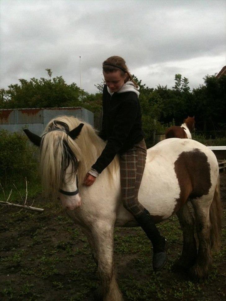 Tinker Disney - min bedste ven [Solgt] - Nyt - Har du mad Moooar ? :D billede 2