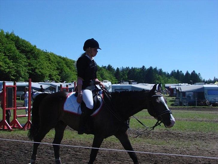 Hollandsk Varmblod TREFFER J B-PONY ~ A-PONY  - lige vært inde i Mb 0 fejl på mors!! <3<3 billede 17