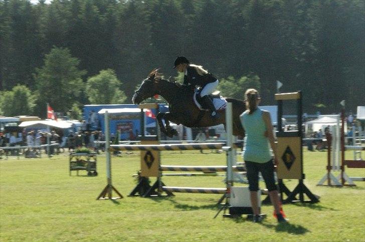 Hollandsk Varmblod TREFFER J B-PONY ~ A-PONY  - Mb 5 plads Morsø 2011 :-* billede 6