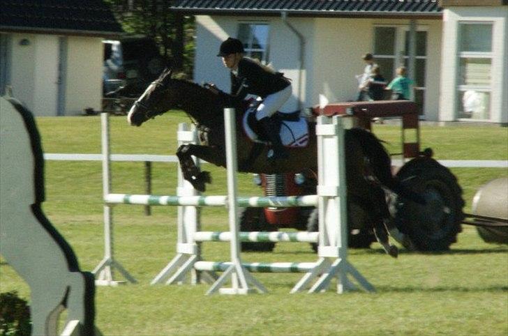 Hollandsk Varmblod TREFFER J B-PONY ~ A-PONY  - La eller Mb :-D Morsø 2011 :-* billede 5