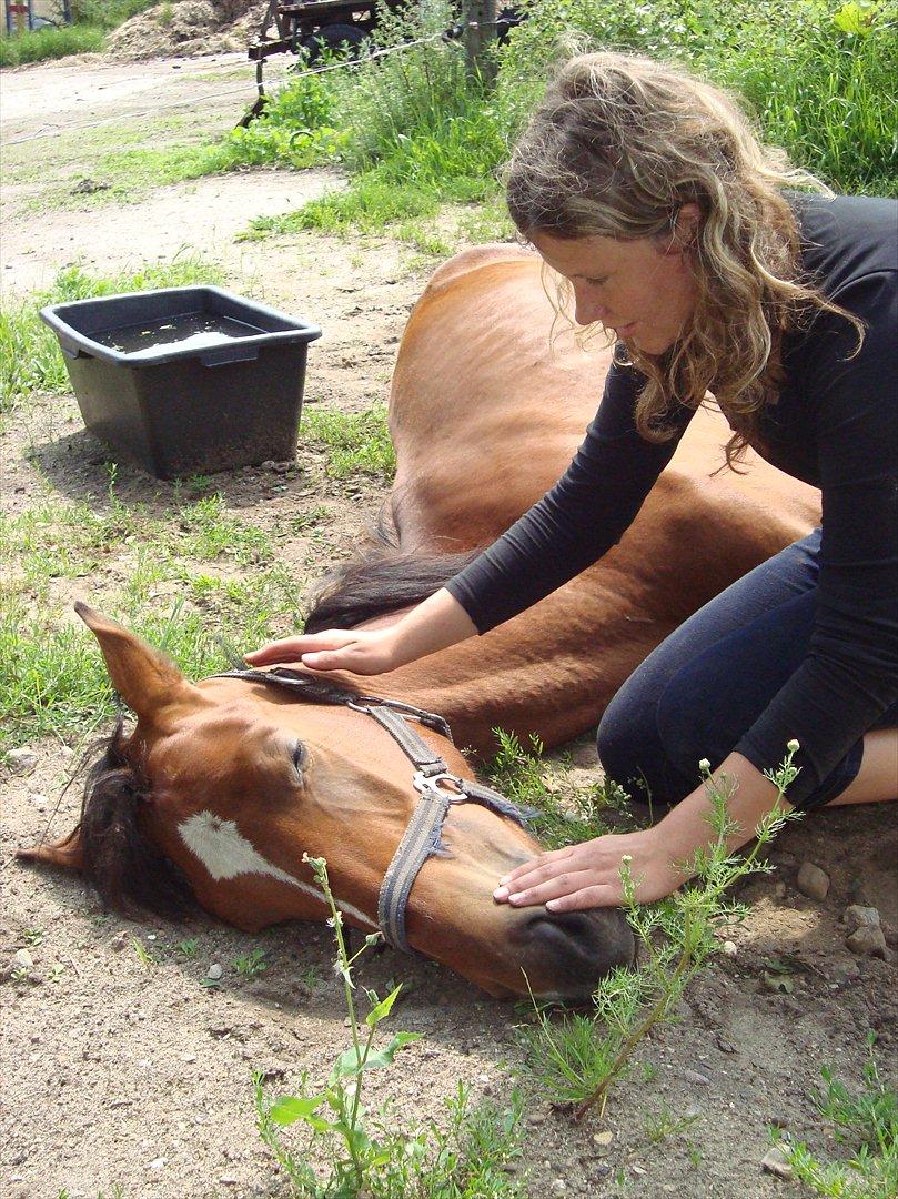 Anden særlig race Stabygårds Meegosh - Meegosh sover :) billede 8