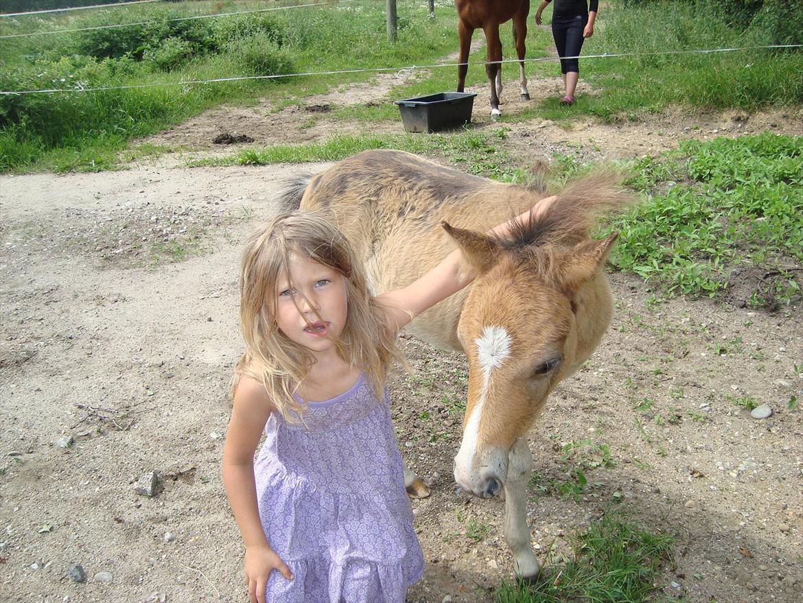 Anden særlig race Stabygårds Tarzan Mama Mia billede 16