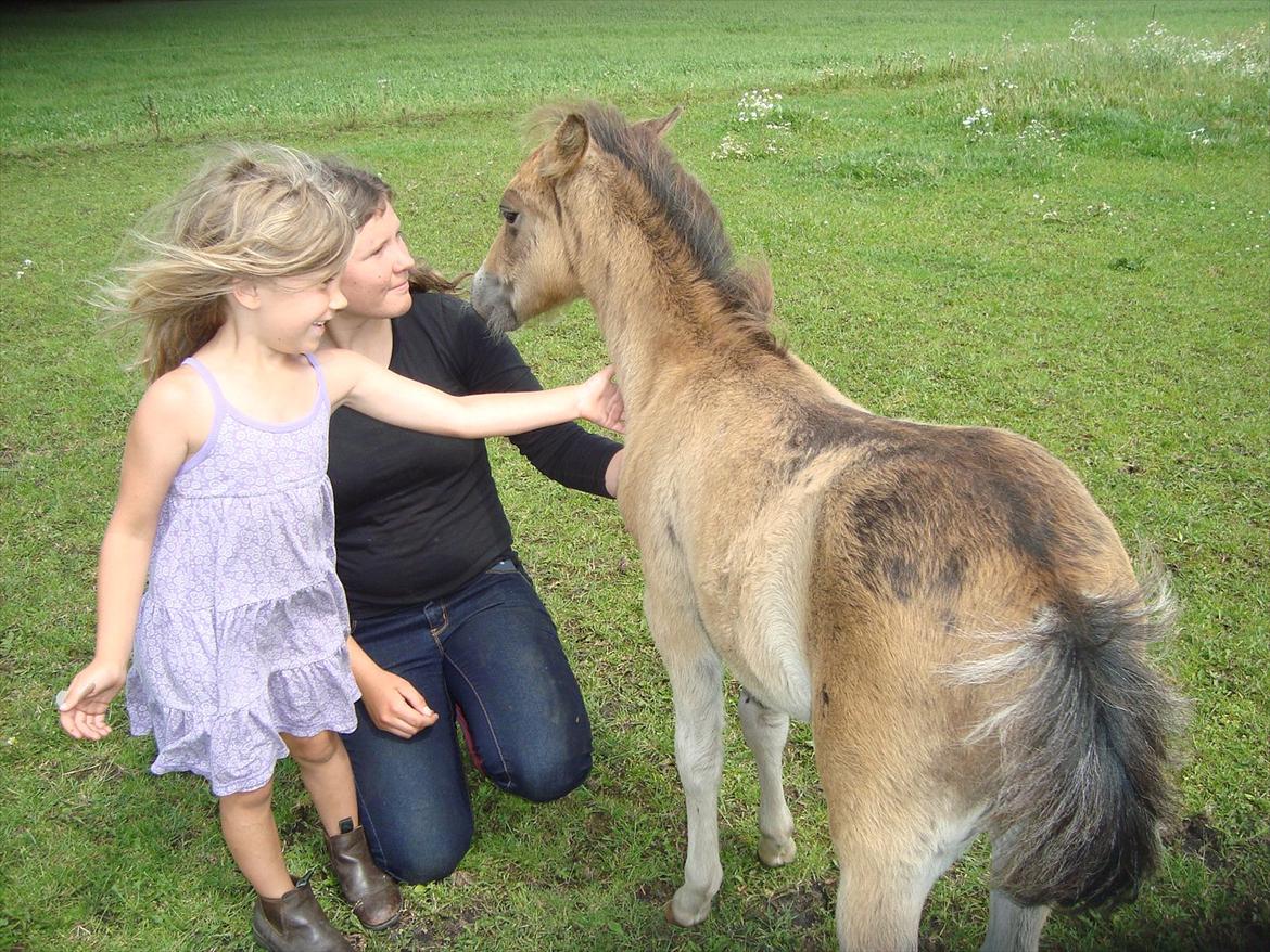 Anden særlig race Stabygårds Tarzan Mama Mia billede 17