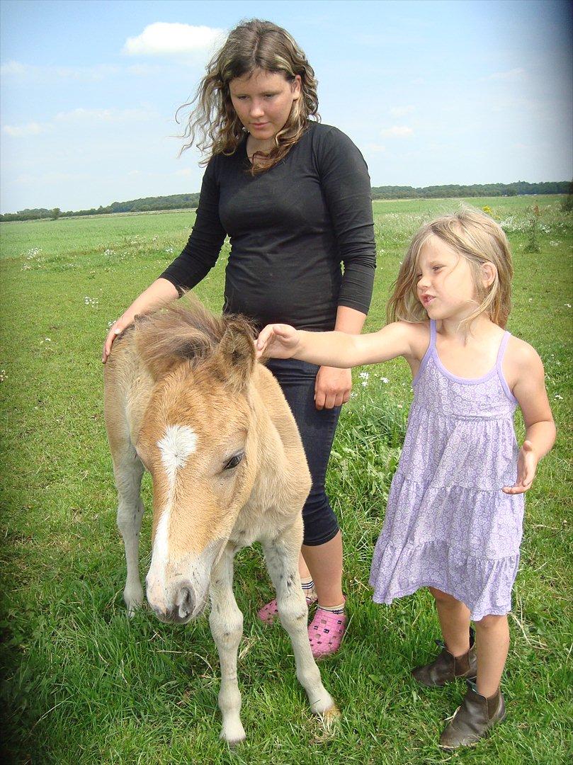 Anden særlig race Stabygårds Tarzan Mama Mia billede 18