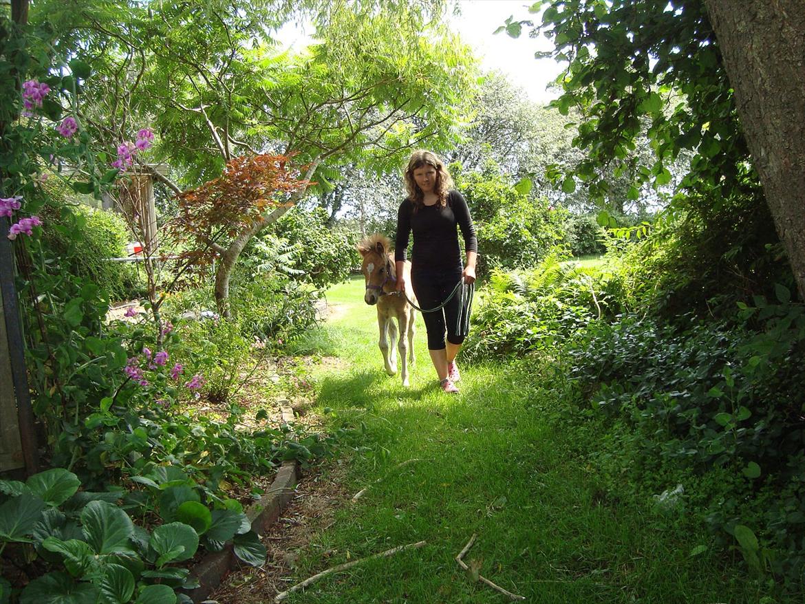 Anden særlig race Stabygårds Tarzan Mama Mia billede 19