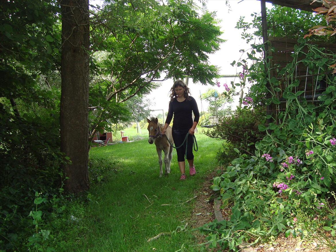 Anden særlig race Stabygårds Tarzan Mama Mia billede 20