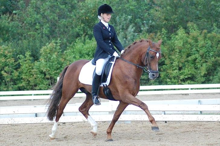 DSP Matthi - Matthi's første landsstævne, hvor vi red PRI og blev nr. 2 med 65% :-) Fantastiske pony!
Foto: Mathilde Koefoed - Tak billede 19