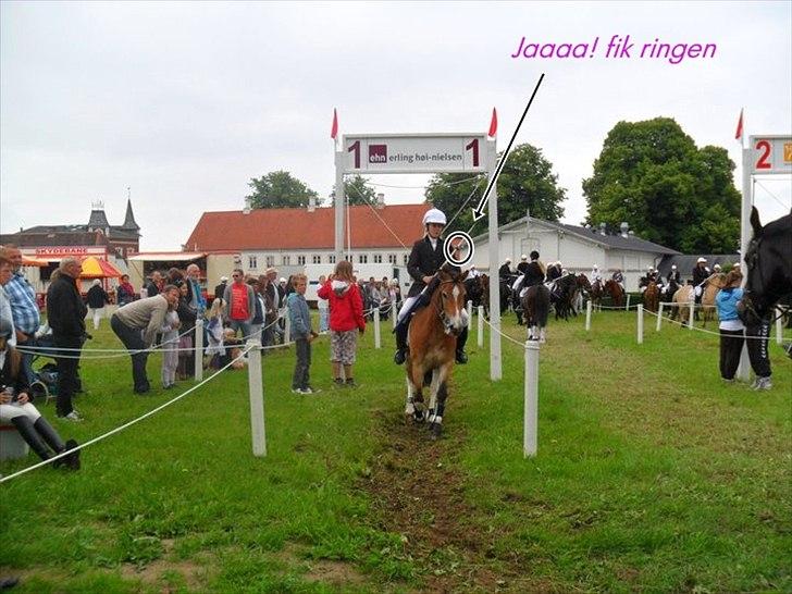 Anden særlig race Fernando - RINGRIDNING!! med søde Camilla og hendes smukke ponny Thass<33 billede 3