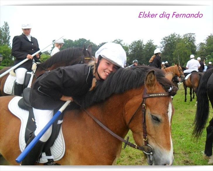 Anden særlig race Fernando - det er dig og mig for evigt og altid, vi høre sammen både nat og dag<3 billede 4