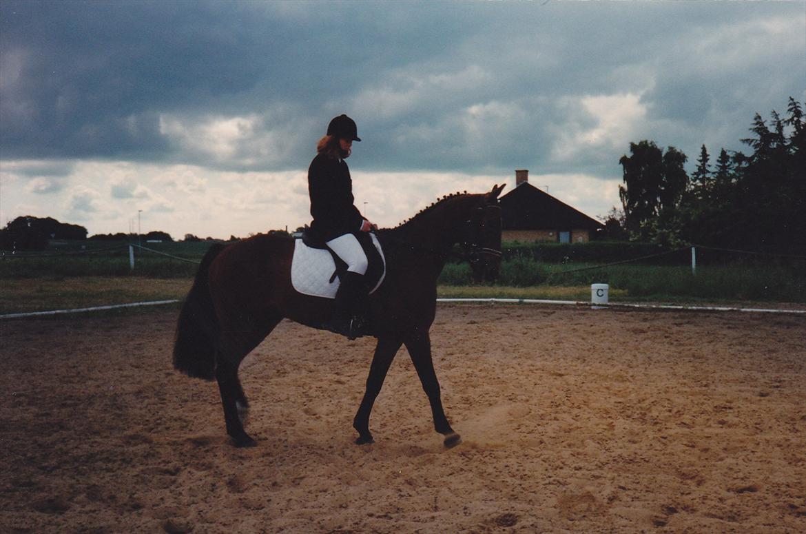 Traver Lucky billede 9