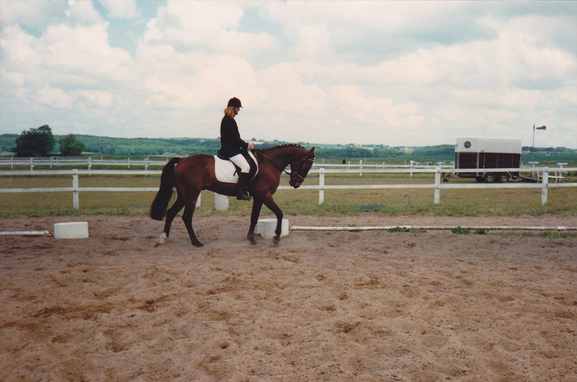 Traver Lucky billede 10