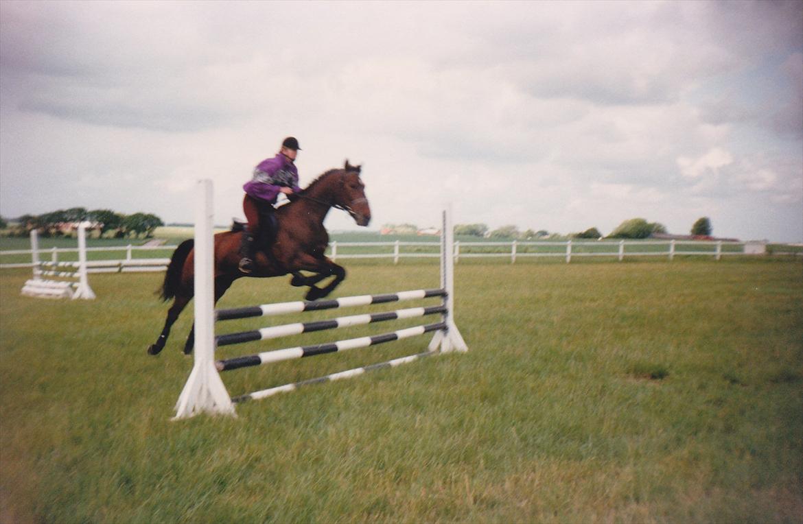 Traver Lucky billede 12