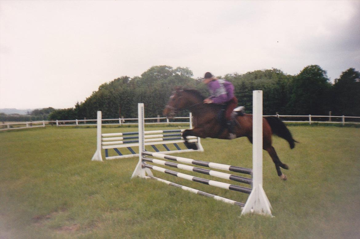 Traver Lucky billede 13