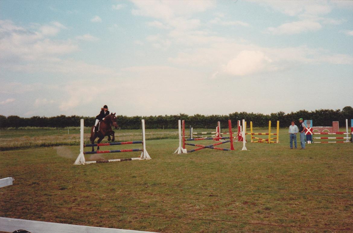 Traver Lucky billede 14