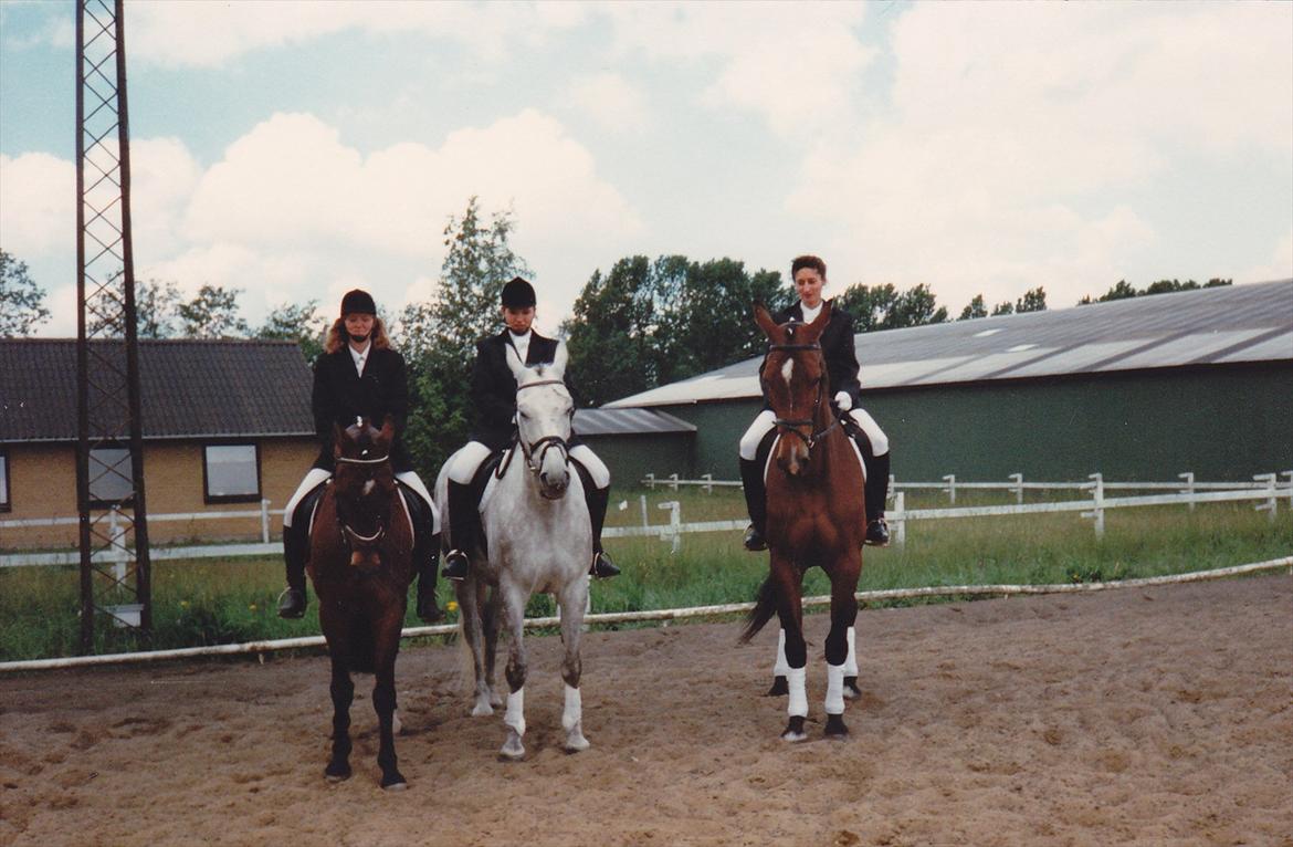 Traver Lucky billede 15