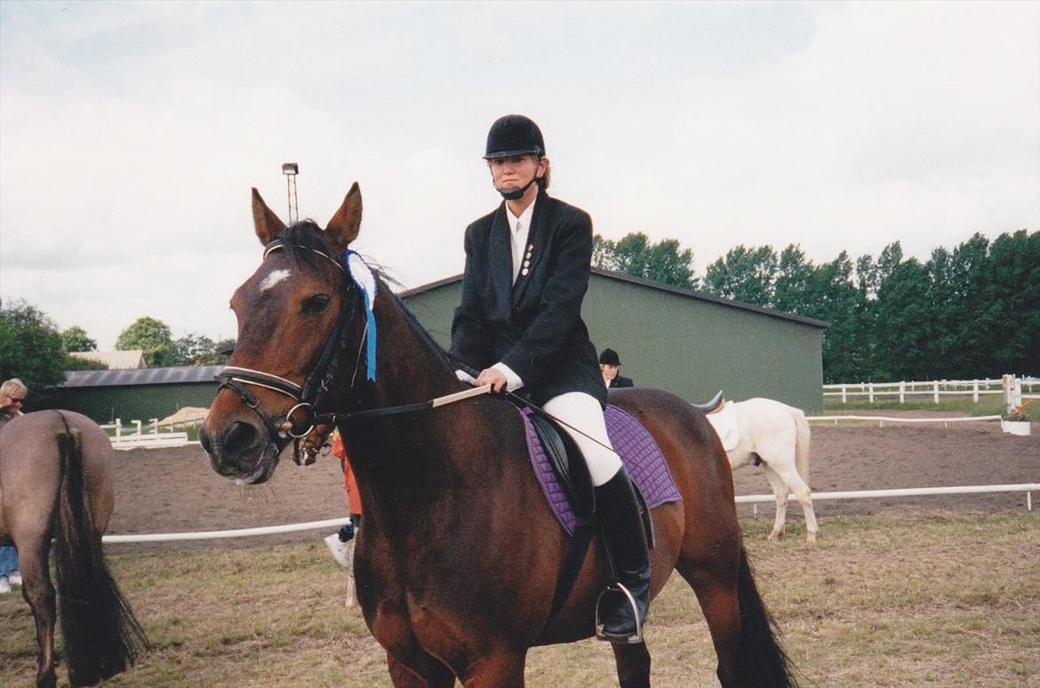 Traver Lucky billede 16