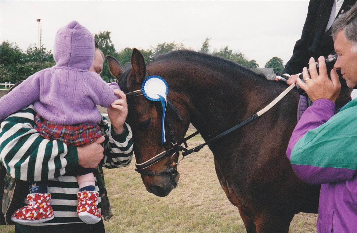 Traver Lucky billede 17