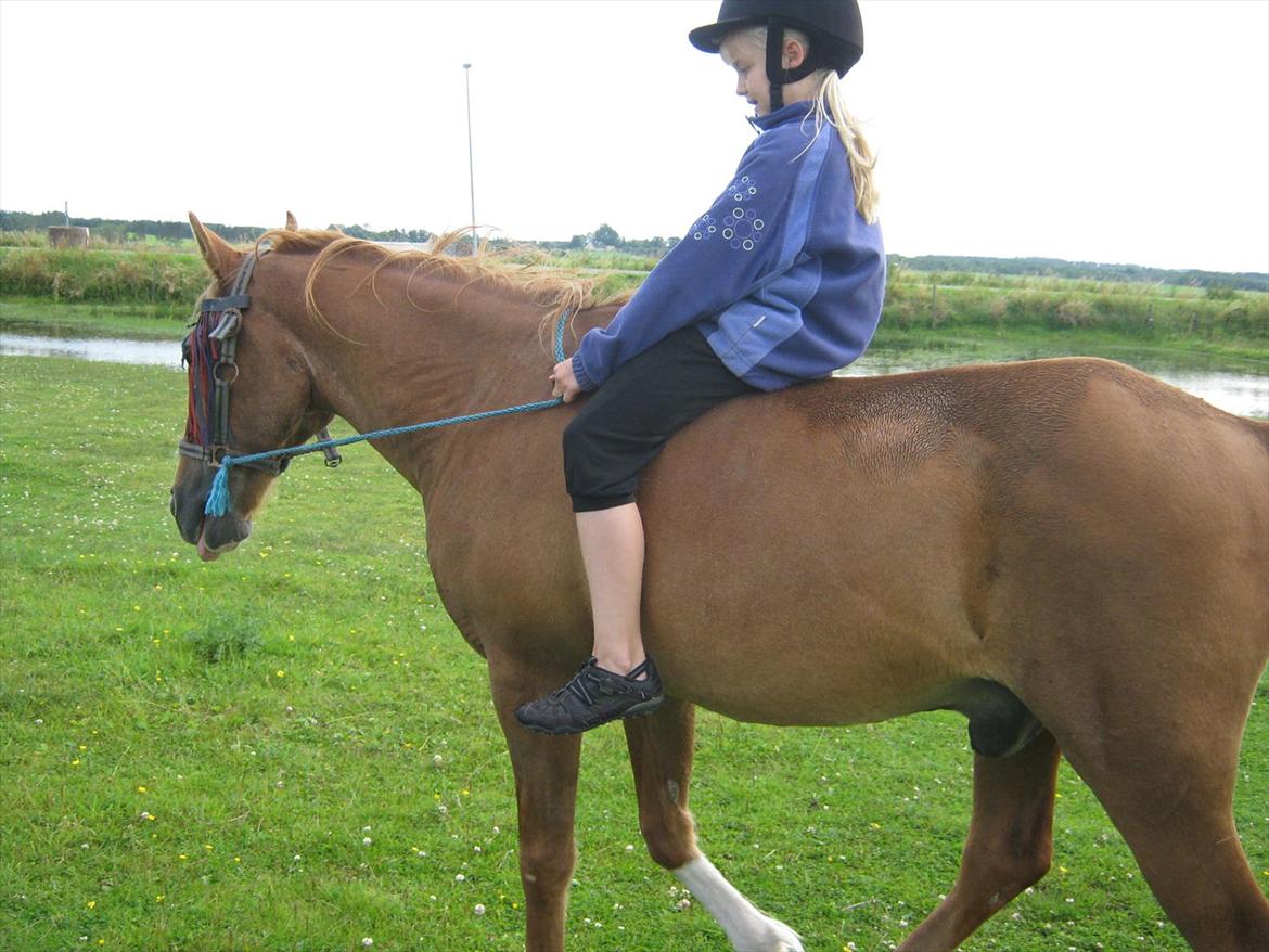 Sportsaraber (A) treeyws design billede 14