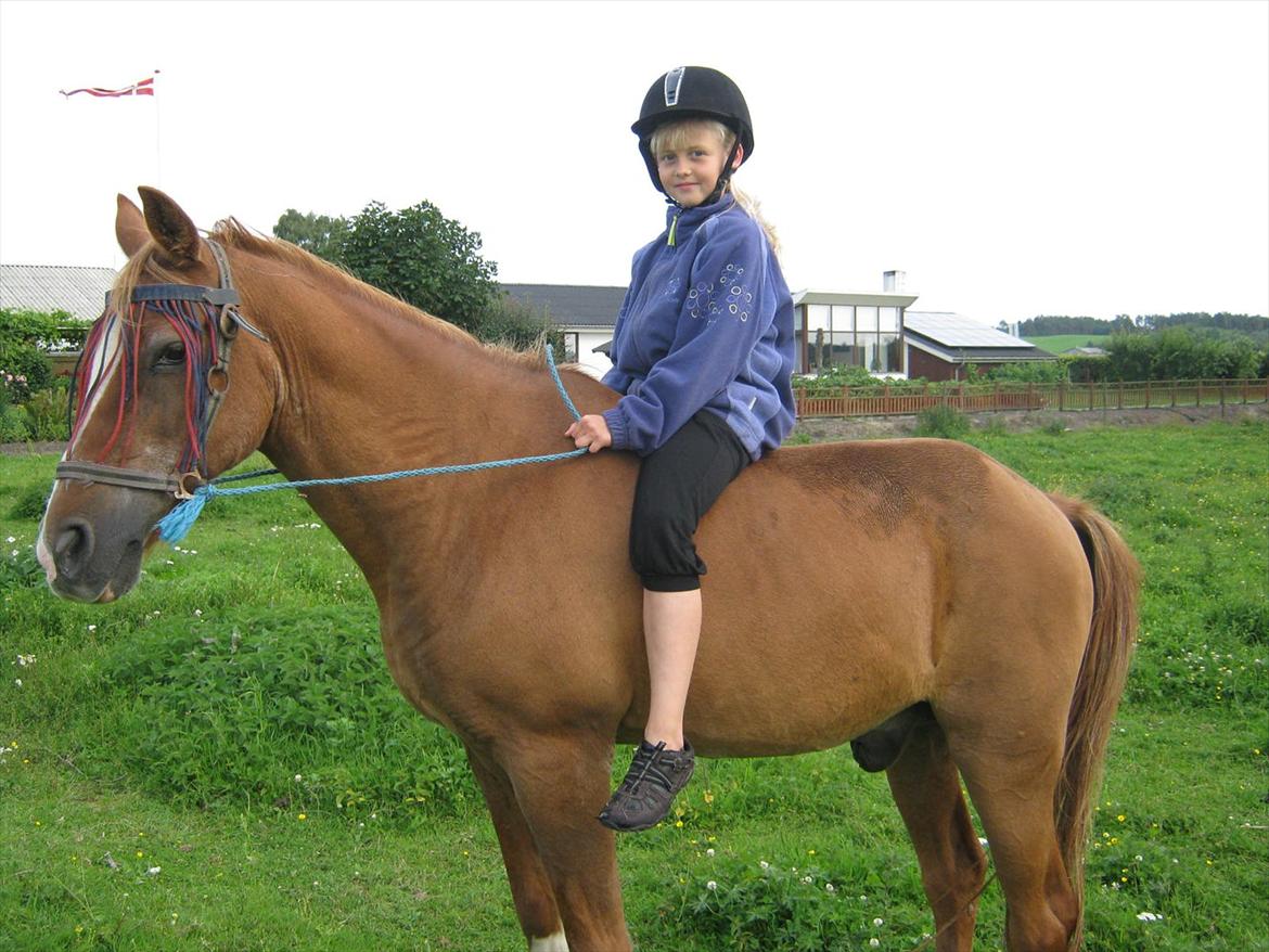 Sportsaraber (A) treeyws design billede 7