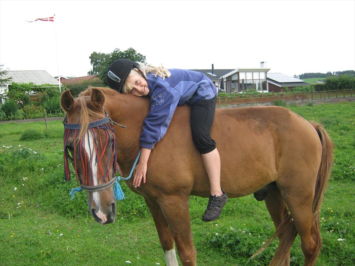 Sportsaraber (A) treeyws design billede 3