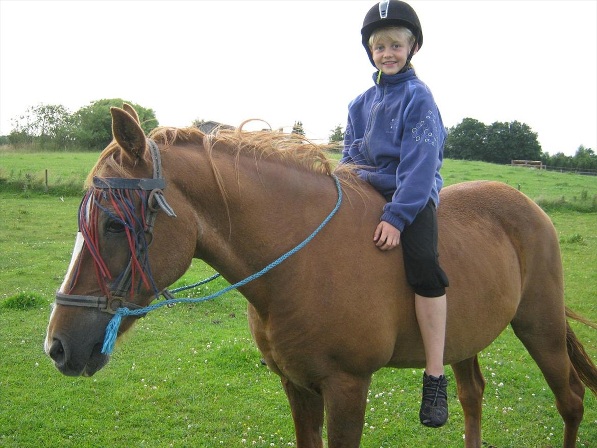 Sportsaraber (A) treeyws design billede 9