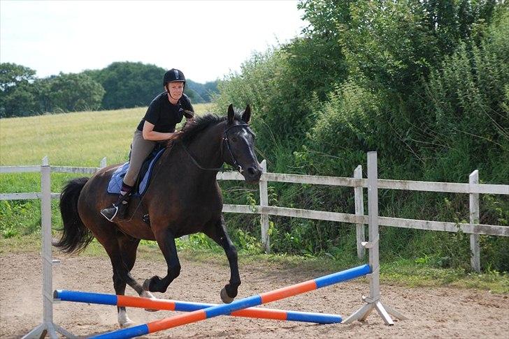 Oldenborg Hercules - Vores første spring nogensinde juli 2011 billede 3